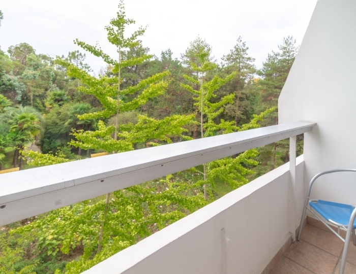 1-мест. станд., корп. 2 (2-4 эт.) - Санаторий «им. М.В. Фрунзе» Сочи