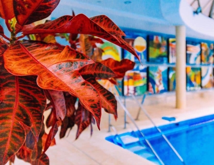 Услуги и развлечения - Санаторий «им. М.В. Фрунзе» Сочи